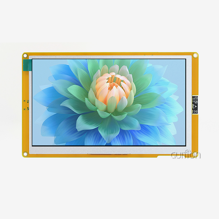 Custom lcd display module